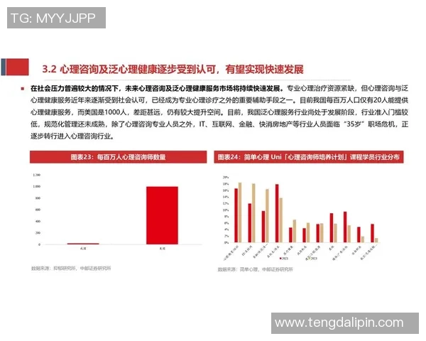 武汉羽毛球队在联合会杯中的实力展现与未来发展潜力分析